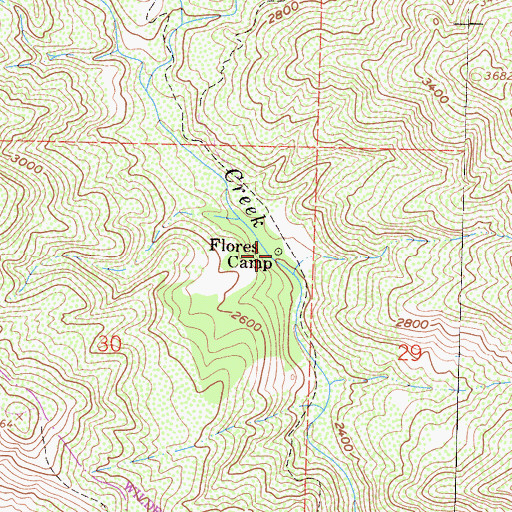 Topographic Map of Flores Camp, CA