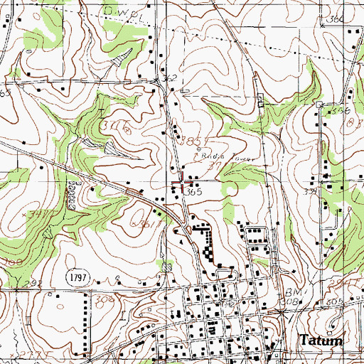 Topographic Map of Tatum City Hall, TX
