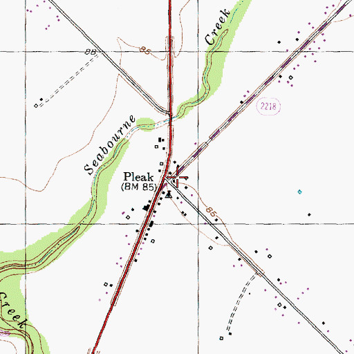 Topographic Map of Village of Pleak City Hall, TX