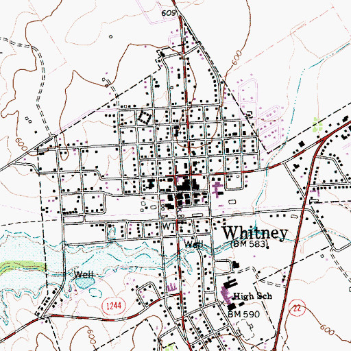 Topographic Map of Whitney City Hall, TX