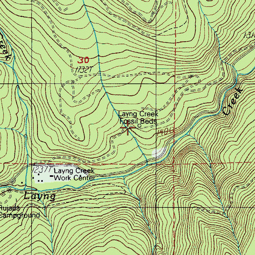 Topographic Map of Layng Creek Fossil Beds, OR