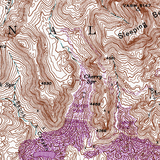 Topographic Map of Cherry Spring, AZ