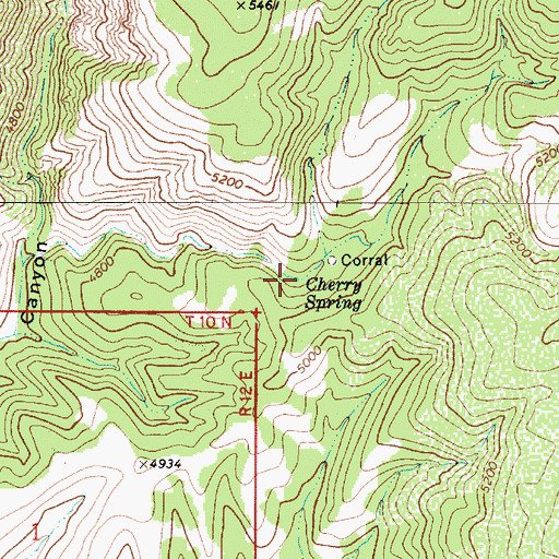 Topographic Map of Cherry Spring, AZ