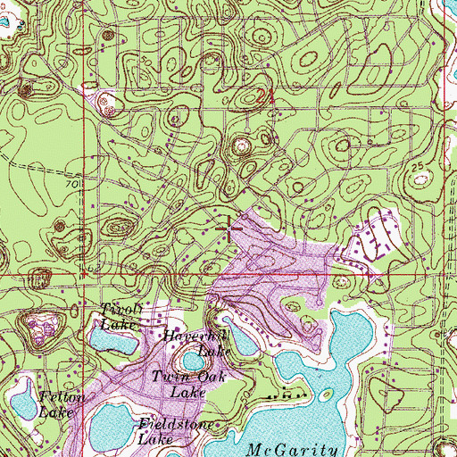 Topographic Map of Volusia County Sheriff's Office Law Enforcement Services District 4, FL