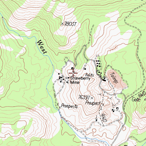Topographic Map of Strawberry Mines, CA