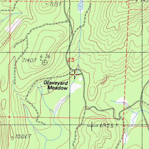 Topographic Map of Jones Cow Camp, CA