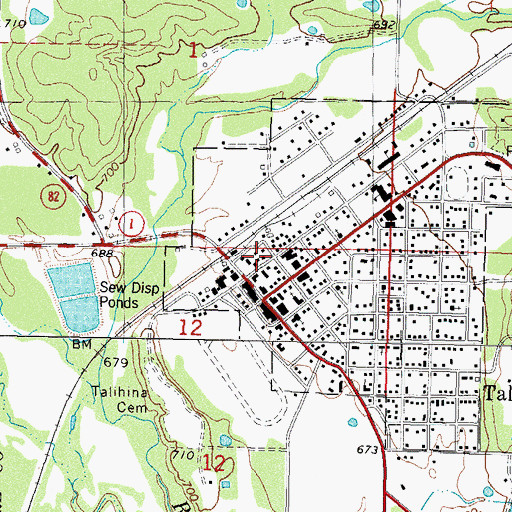 Topographic Map of Talihina Police Dept, OK