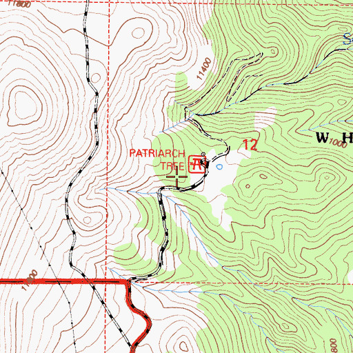 Topographic Map of Patriarch Picnic Area, CA