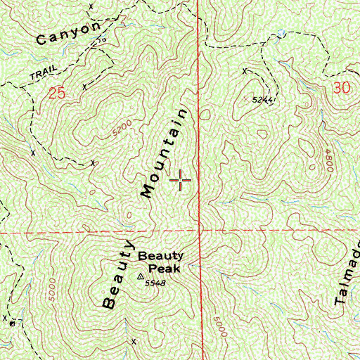 Topographic Map of Beauty Mountain Wilderness, CA