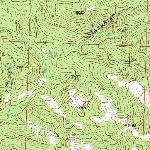 Topographic Map of Slaughter Creek Wilderness, UT