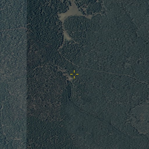 Aerial/Satellite Image of Chipmunk Spring, AZ