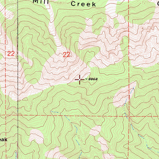 Topographic Map of Cuchillo Peak, CA