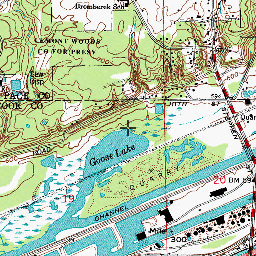 Topographic Map of Canyon Creek, IL