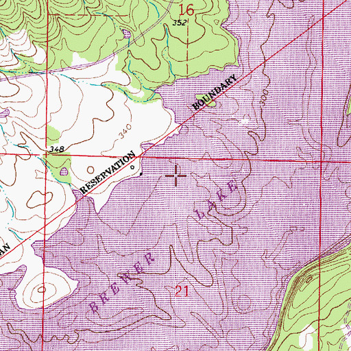 Topographic Map of Brewer Lake, AR