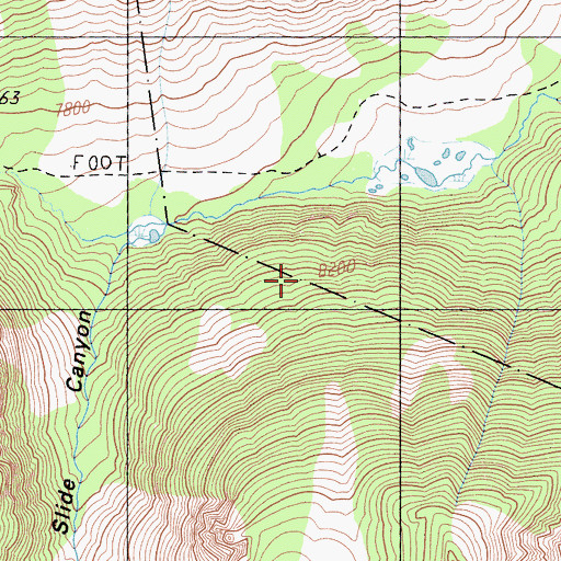 Topographic Map of Hoover Wilderness, CA