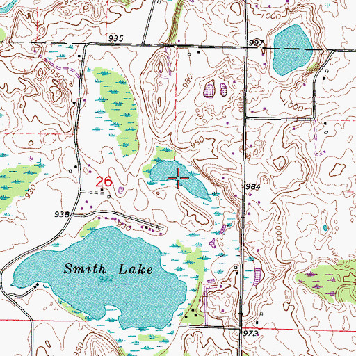 Topographic Map of Little Drickens Lake, WI
