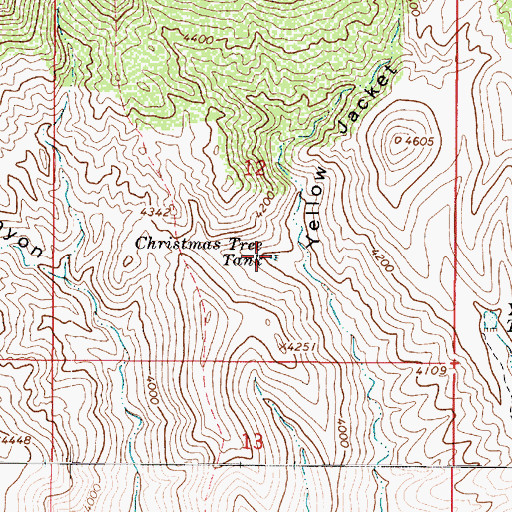 Topographic Map of Christmas Tree Tank, AZ