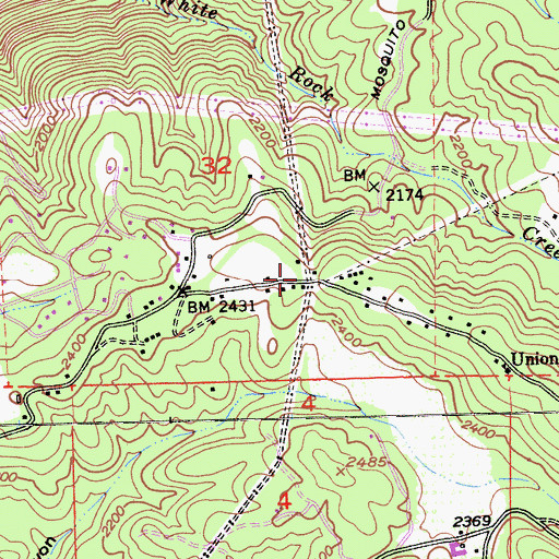 Topographic Map of Negro Hill, CA