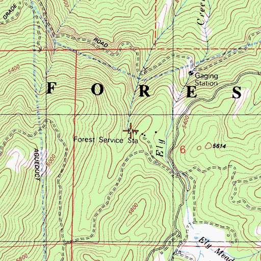 Topographic Map of Ely Forest Service Station, CA