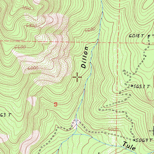 Topographic Map of Dillion Mill (historical), CA