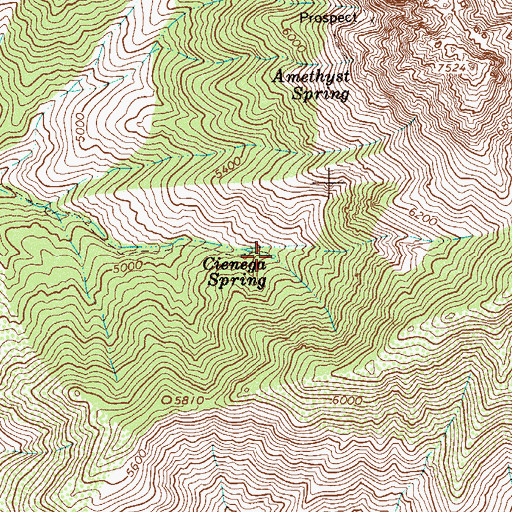 Topographic Map of Cienega Spring, AZ