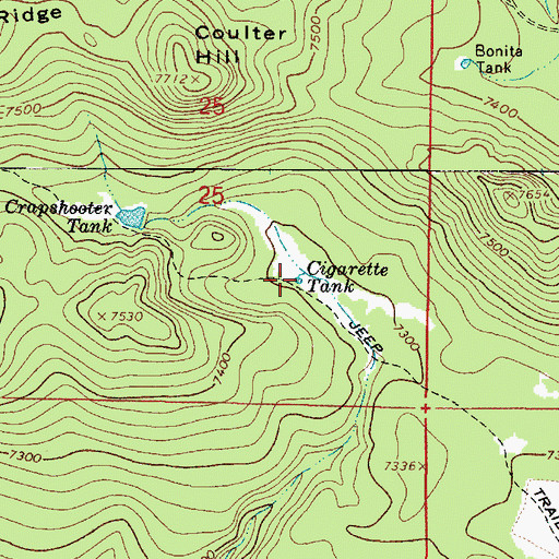 Topographic Map of Cigarette Tank, AZ