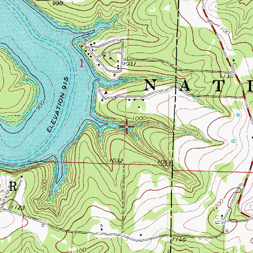 Topographic Map of Lucy Smith Hollow, MO