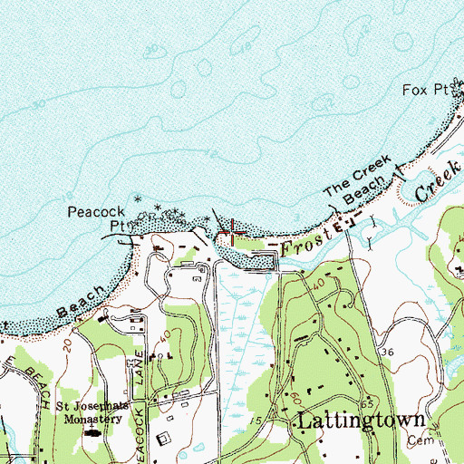 Topographic Map of Bruce Point, NY