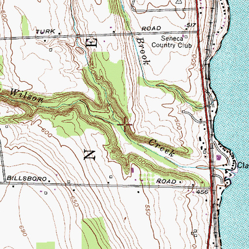 Topographic Map of MacNaughton Run, NY