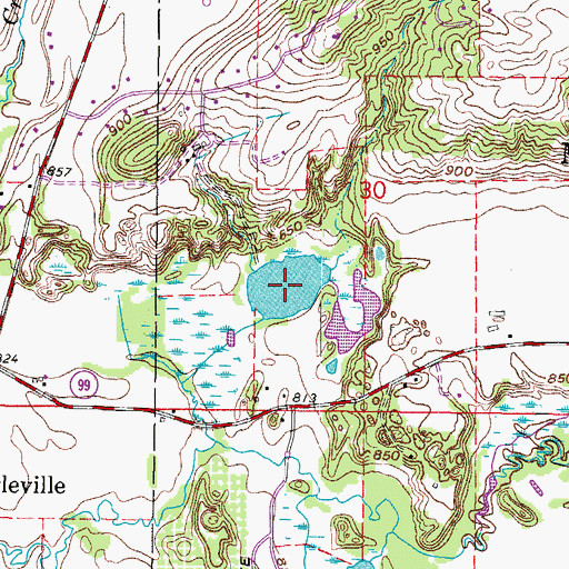 Topographic Map of Brown Lake, WI