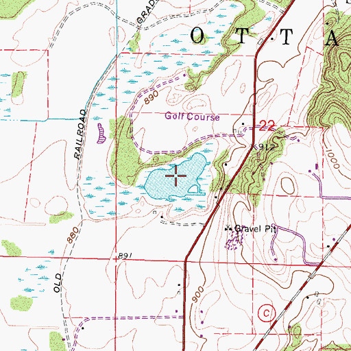 Topographic Map of Reagon Lake, WI