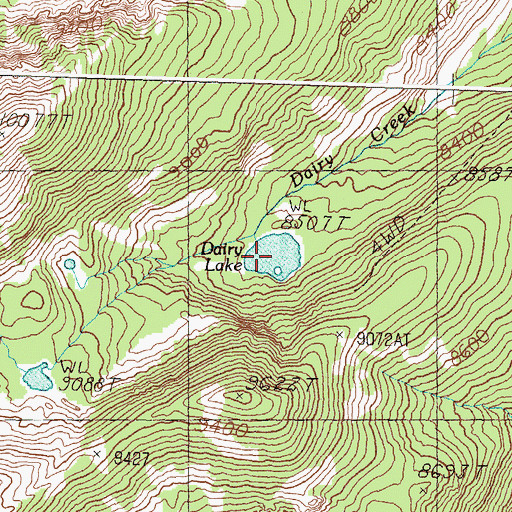 Topographic Map of Dairy Lake, ID