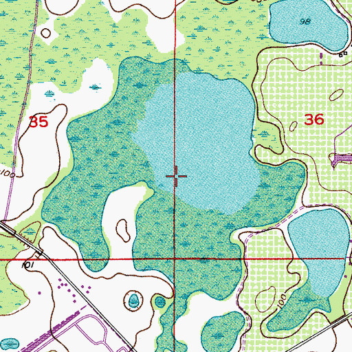 Topographic Map of Lake Reams, FL