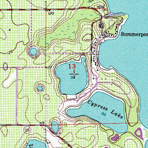 Topographic Map of Lake William Davis, FL
