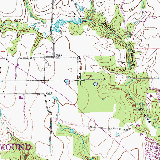 Topographic Map of Flower Mound Fire Department Station 5, TX