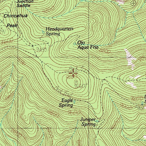 Topographic Map of Chiricahua Wilderness, AZ
