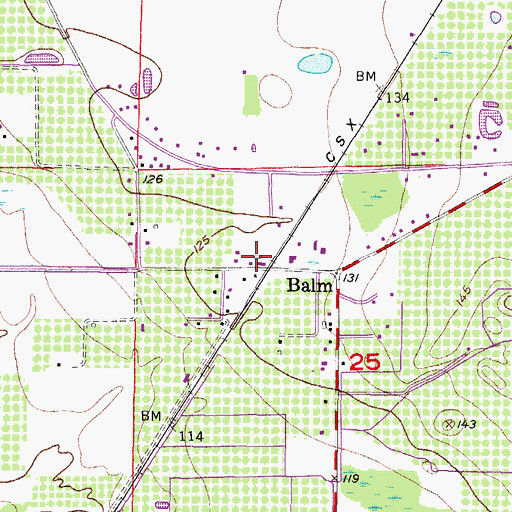 Topographic Map of Balm Post Office, FL