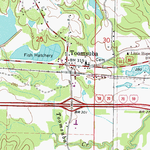 Topographic Map of Toomsuba Post Office, MS