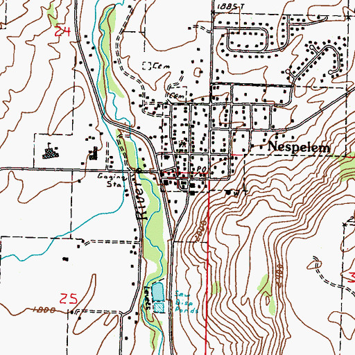 Topographic Map of Nespelem Post Office, WA