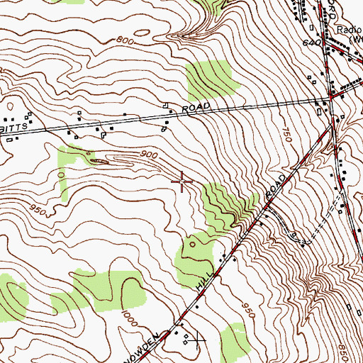 Topographic Map of Hawks Field, NY