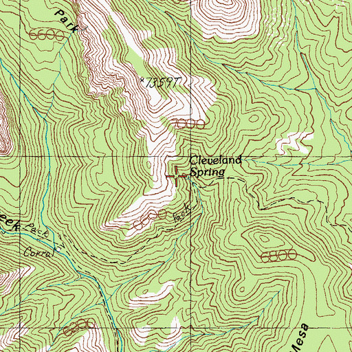 Topographic Map of Cleveland Spring, AZ