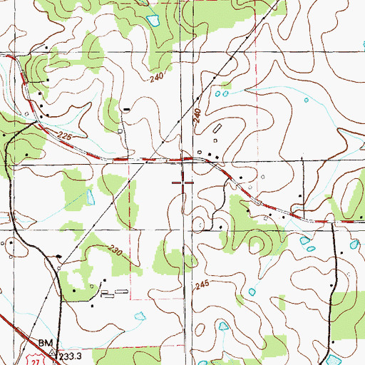 Topographic Map of Twin Forks Airport, GA