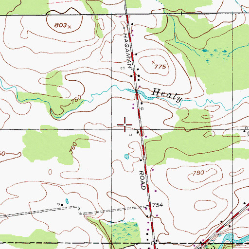 Topographic Map of Tamarack Acres Airport, NY