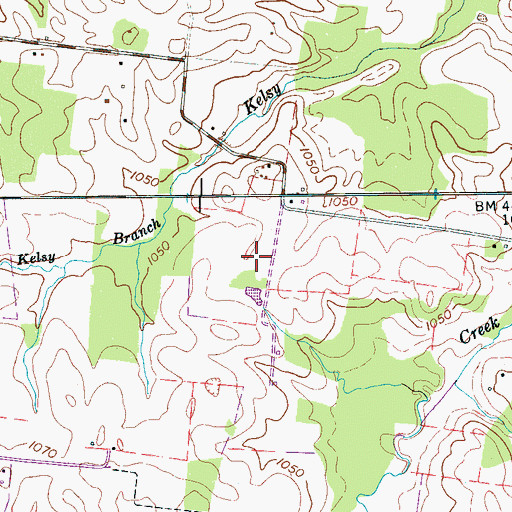 Topographic Map of Roseanne Airport, TN