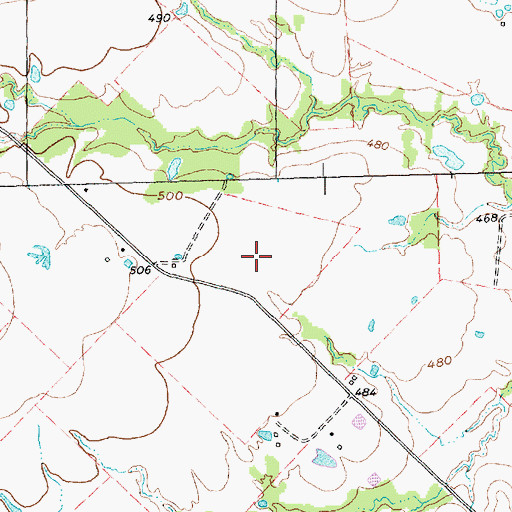 Topographic Map of Richie Rich Airport, TX