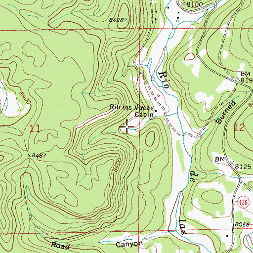 Topographic Map of Vacas Spring, NM
