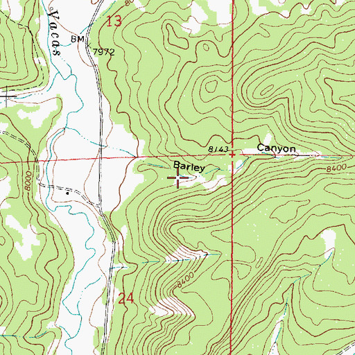 Topographic Map of Barley Spring, NM