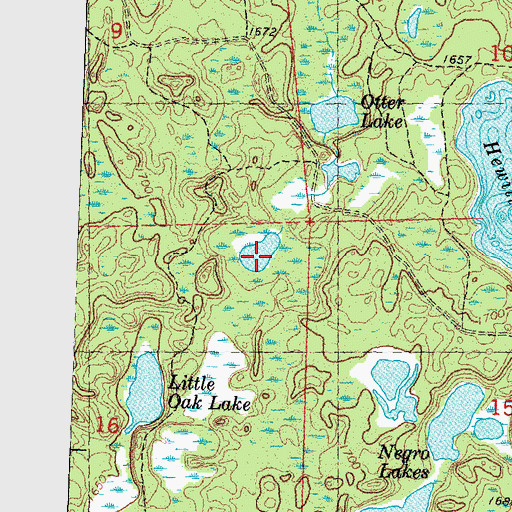 Topographic Map of Swamp Lake, WI