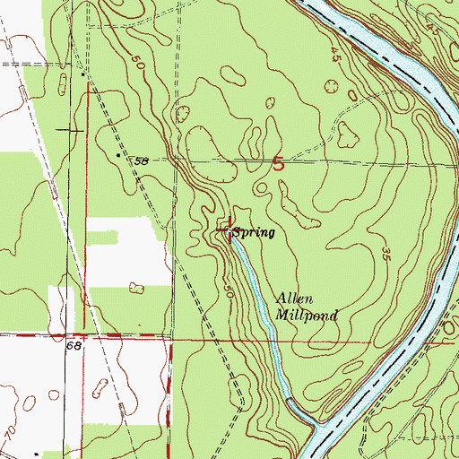 Topographic Map of Allen Mill Pond Spring, FL
