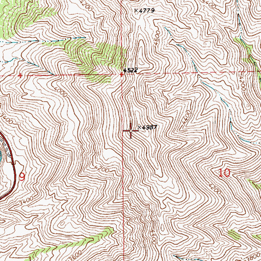 Topographic Map of Cervidae Peak, ID